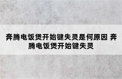 奔腾电饭煲开始键失灵是何原因 奔腾电饭煲开始键失灵